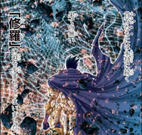 聖闘士星矢エピソードｇレクイエムのシュラですが両手と片足 が黒いのはアサシンの Yahoo 知恵袋