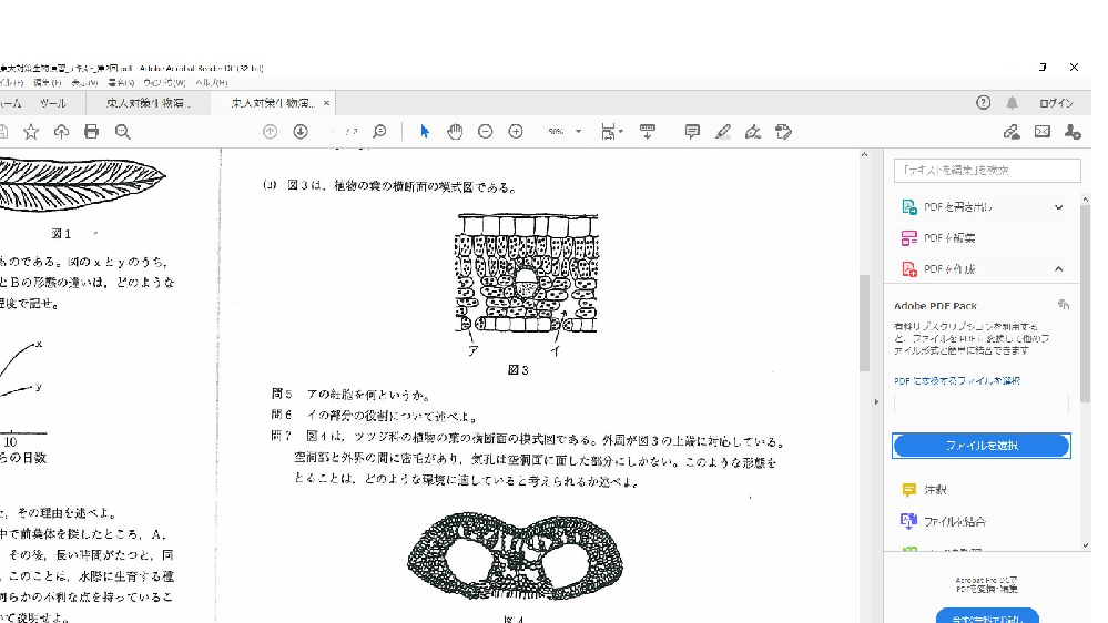 高校生物の問題について質問失礼致します 光学顕微鏡と簡単な Yahoo 知恵袋