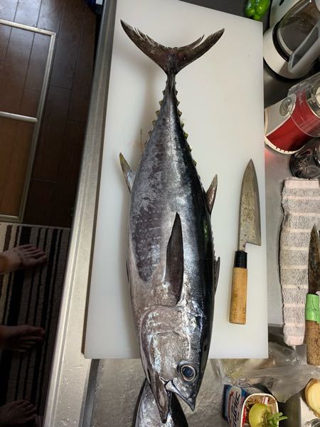 これは何マグロですか コシナガマグロですね こちら見てねhttps Yahoo 知恵袋