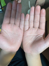 手相について 子どもがテレビを見ててこれって ますかけ線ってやつ と Yahoo 知恵袋