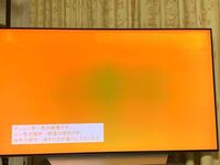 LG OLED48CXPJA2020製造 焼き付き有