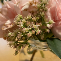 お花の名前を教えてください フラワーアレンジメントに入っていました Yahoo 知恵袋