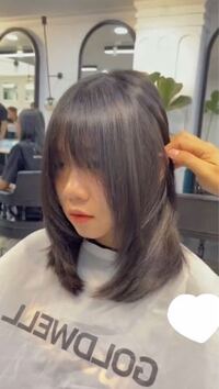 シャギーに関する質問一覧 Yahoo Beauty