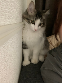 高須クリニックのcmの意味がよく分からないのですが 教えてください Yahoo 知恵袋