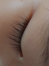 このまつげは長い 普通 短い 友達の赤ちゃんの睫毛です Yahoo 知恵袋