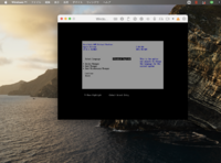 チップ100枚 Macで デュアルディスプレイで別々の壁紙を設定した Yahoo 知恵袋