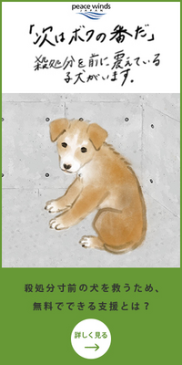 こんな広告を見つけました この犬がとても可哀そうに見えました なぜ何 Yahoo 知恵袋