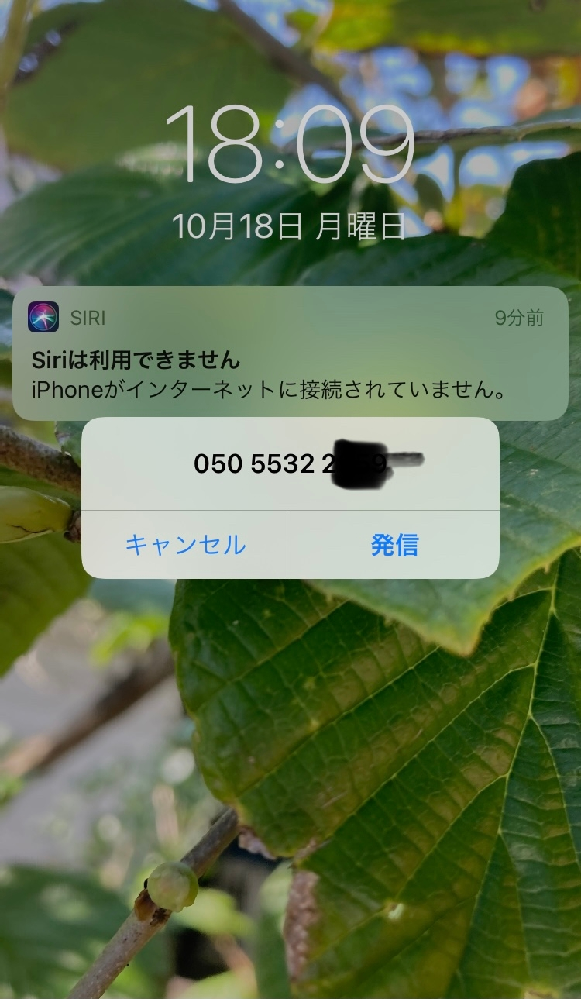 サイトのurlを押したら電話番号に勝手に発信されそうになりキャ