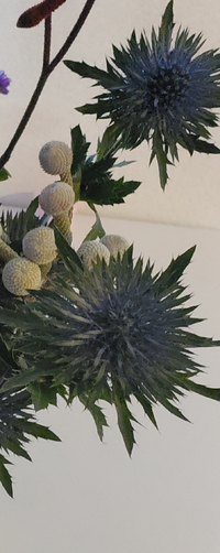 この青の花の名前を教えてください エリンジウム ですね 切り Yahoo 知恵袋