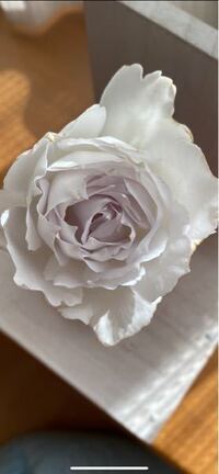 この薔薇はガブリエルですか ルシファーですか タグを紛失して分からな Yahoo 知恵袋