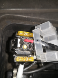 V125のヒューズからacc電源取ろうとしたのですが 通電てスターで Yahoo 知恵袋