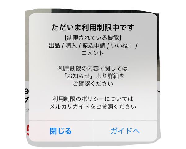 選べる5色 利用制限中 全機能利用禁止 プロフ必読 様専用 チャッパ6寸5分 ハンドメイド Rspg Spectrum Eu