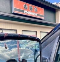 鳥のフンで困っております 家の駐車場に毎日鳥のフンが落ちてま Yahoo 知恵袋