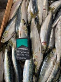 これは何という魚ですか 福岡の市場で見かけました ママカリ サッパ でも Yahoo 知恵袋