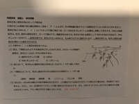 高校生物基礎です このプリントのとくに 5 がわからないです 解説を Yahoo 知恵袋