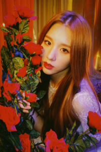 ハーフ クウォーターのk Popアイドルを教えてください 韓国系 Yahoo 知恵袋