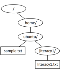 Linuxです。「カレントディレクトリが ubuntuの時、literacy1 の下に literacy1_1 というディレクトリを作成するコマンドを示せ。 ただし、絶対パスと相対パス、それぞれで答えよ」という問題で相対パスで「./literacy1/literacy1_1」と入力してもエラーが起きてしまいます。正しい入力方法を教えてください。