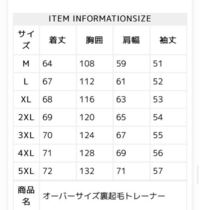 162cm女が、おしりが隠れるくらいブカブカ目で着るなら何サイズがい 