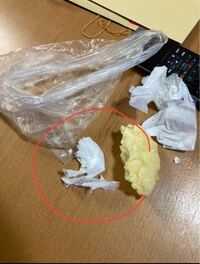 やばいです 至急です 犬がメロンパン結構食べました やばいですか 今 Yahoo 知恵袋