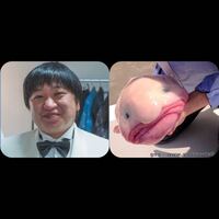 前から思ってたのですが ニッポンの社長ケツさんと ブロブフィッシュ結構似て Yahoo 知恵袋