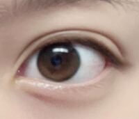 私の目には蒙古襞ありますか アイプチ アイテープなどはして無いです Yahoo 知恵袋