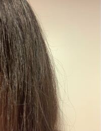 髪の毛をきれいにしたいです 私は髪がパサパサで画像のようにアホ Yahoo 知恵袋