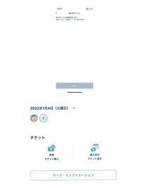 ディズニーについて 1人でeチケットでディズニーに行く場合 チケットのバー Yahoo 知恵袋