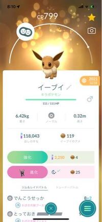 ポケモンの世界の夜って何時から何時までですか イーブイをブラッキーに進 Yahoo 知恵袋