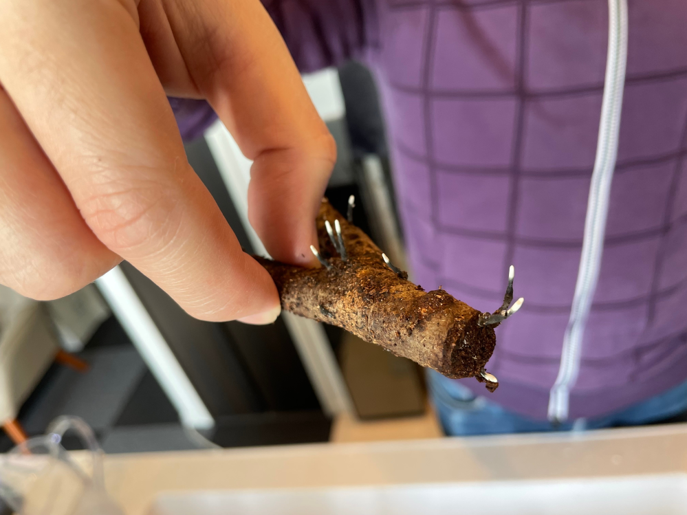 生物 動物 植物 解決済みの質問 Yahoo 知恵袋