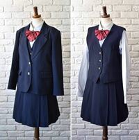 この制服可愛いと思いますか？ - 浦和実業学園高等学校の制服です