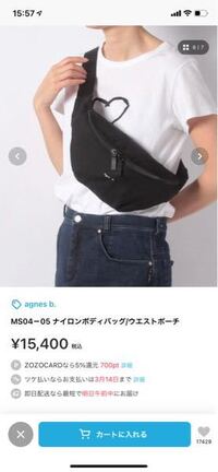 最近のボディバッグはウエストポーチを小さくしたみたいな形だったり Yahoo 知恵袋