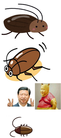 この虫の名前を教えてください 陰湿な場所でよく見かける虫なんですけど Yahoo 知恵袋