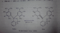 Btb溶液の色がアルカリ性 中性 酸性で色が変わるのは何故ですか アルカ Yahoo 知恵袋