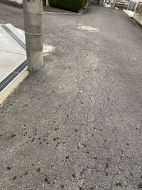 毎日車に鳥のフンを落とされます しかもフンがついてる所がいつ Yahoo 知恵袋