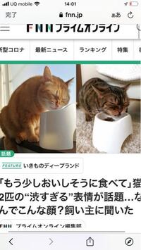 このまずそうに食べる猫なんですかwww 顔渋すぎませんかw Yahoo 知恵袋