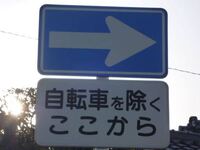 自転車を除く が付いていることがほとんどで 付いてない一方通行は初めて見たかも