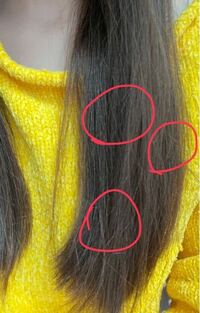 ヘアドネーションをしようと思ってます ドネーション出来る美容室見 Yahoo 知恵袋