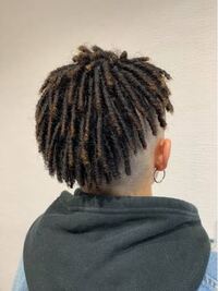 ドレッドヘアって嫌ですか 虫がたくさんつかまりそう Yahoo 知恵袋