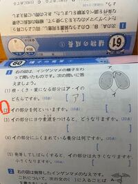 この問題のを教えてください 解説もできてば 2 です Yahoo 知恵袋