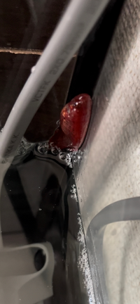 画像がわかりづらいかもしれませんが ベタが水面から身体ごと投げ出して Yahoo 知恵袋