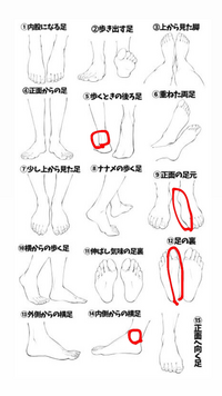 寝起きで膝から下全体が痛いです 特に痛いところは画像の赤く囲ってる部 Yahoo 知恵袋