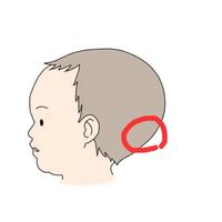 生後9ヶ月の赤ちゃんの頭の形について教えてください 首のすぐ上辺りがすこし Yahoo 知恵袋