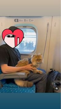 今日猫をキャリーリュックに入れて電車に乗っている20歳くらい 