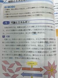 代謝や同化 異化などの下に青色で英語が書かれているのですが 高校の時習いました Yahoo 知恵袋