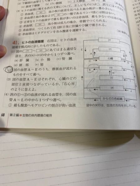 生物基礎 2 の問題について 静脈血を選べという問題なのですが 私の回答はa Yahoo 知恵袋