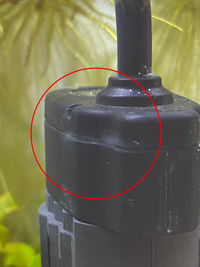 水槽をリセットし 新たに立ち上げました その際に ヒーターを導入しま Yahoo 知恵袋