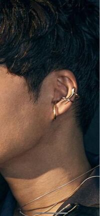 星野源さんが付けているイヤーカフがどこのブランドの物なのか教えて頂きたいです Yahoo 知恵袋