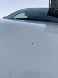 車のボディーに黄色い小さなシミがあるのでワックスで取れるか試したのですが Yahoo 知恵袋