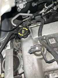 菊咲一花のチャンネルが削除されたのはいつですか Yahoo 知恵袋