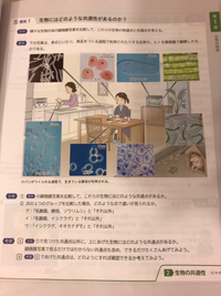 至急です 大腸菌 酵母 ゾウリムシ 原生生物 ネンジ Yahoo 知恵袋